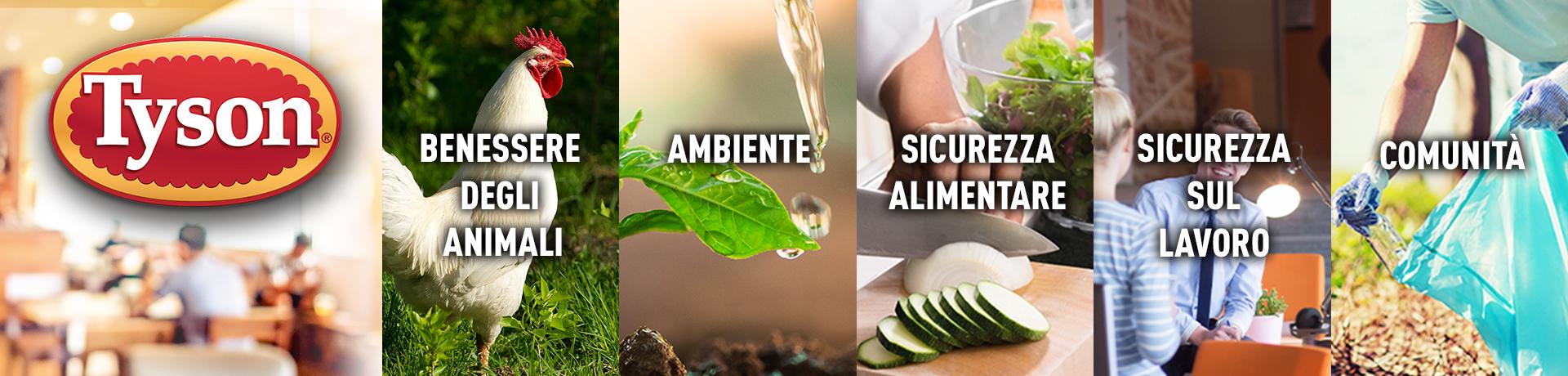 Ambiente